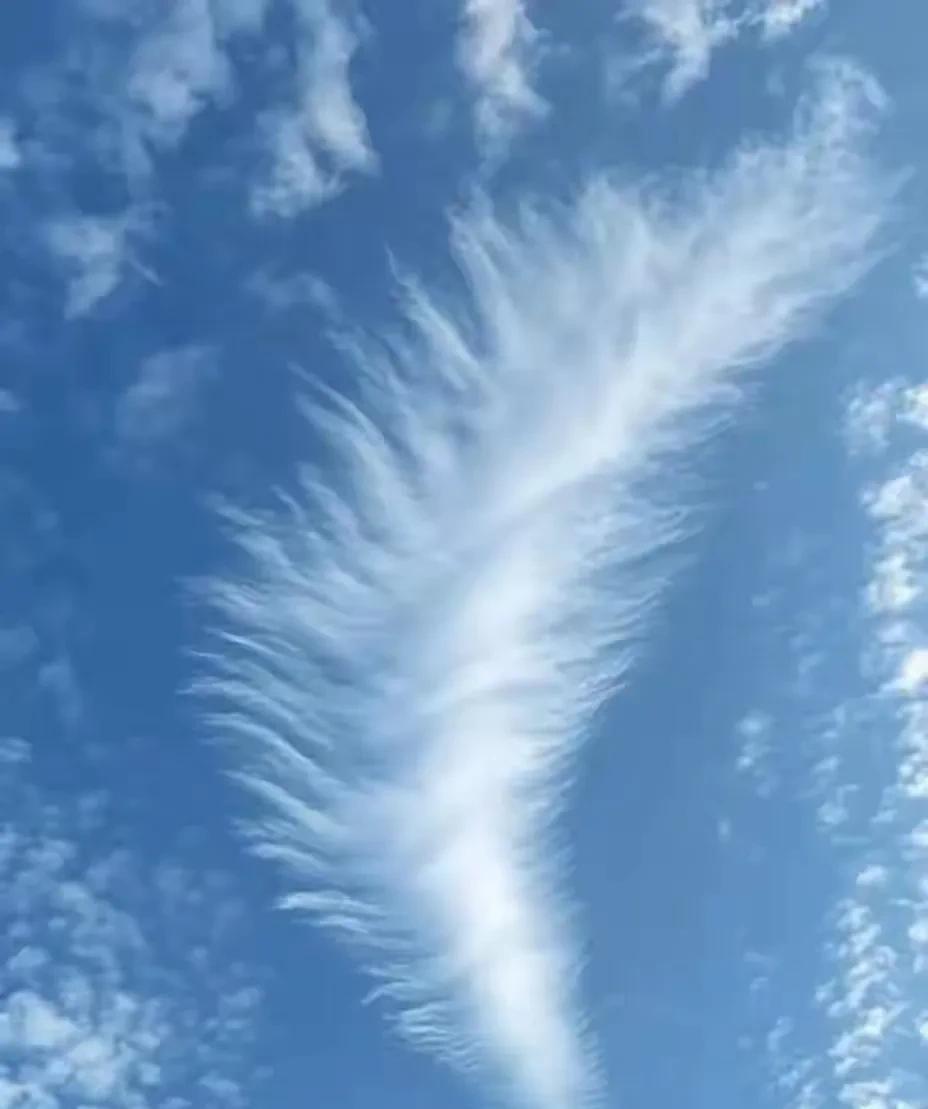 这两天刷屏的就是9月1号全民交社保
为什么不实行看病全民免费，住房全民免费，养老