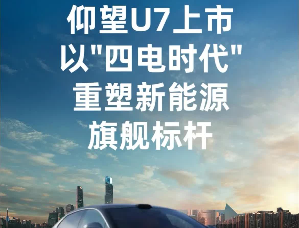 ‼️‼️比亚迪现在极其危险，在20万-40万的市场，毫无影响力，没有一款能打的车