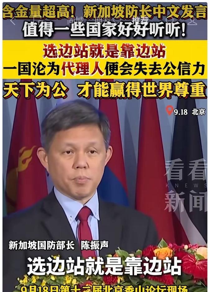 新加坡虽然是弹丸小国，但看问题却深邃深沉，洞察秋毫。