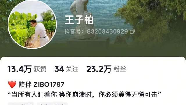 炫富网红偷税749万，改名跑到国外想复出？网友举报再被封！