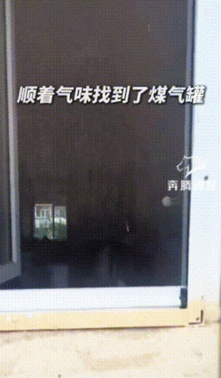 “此子必成大器！”内蒙古，一14岁男孩在小区楼下闻到奇怪味道，在四处寻找来源后，