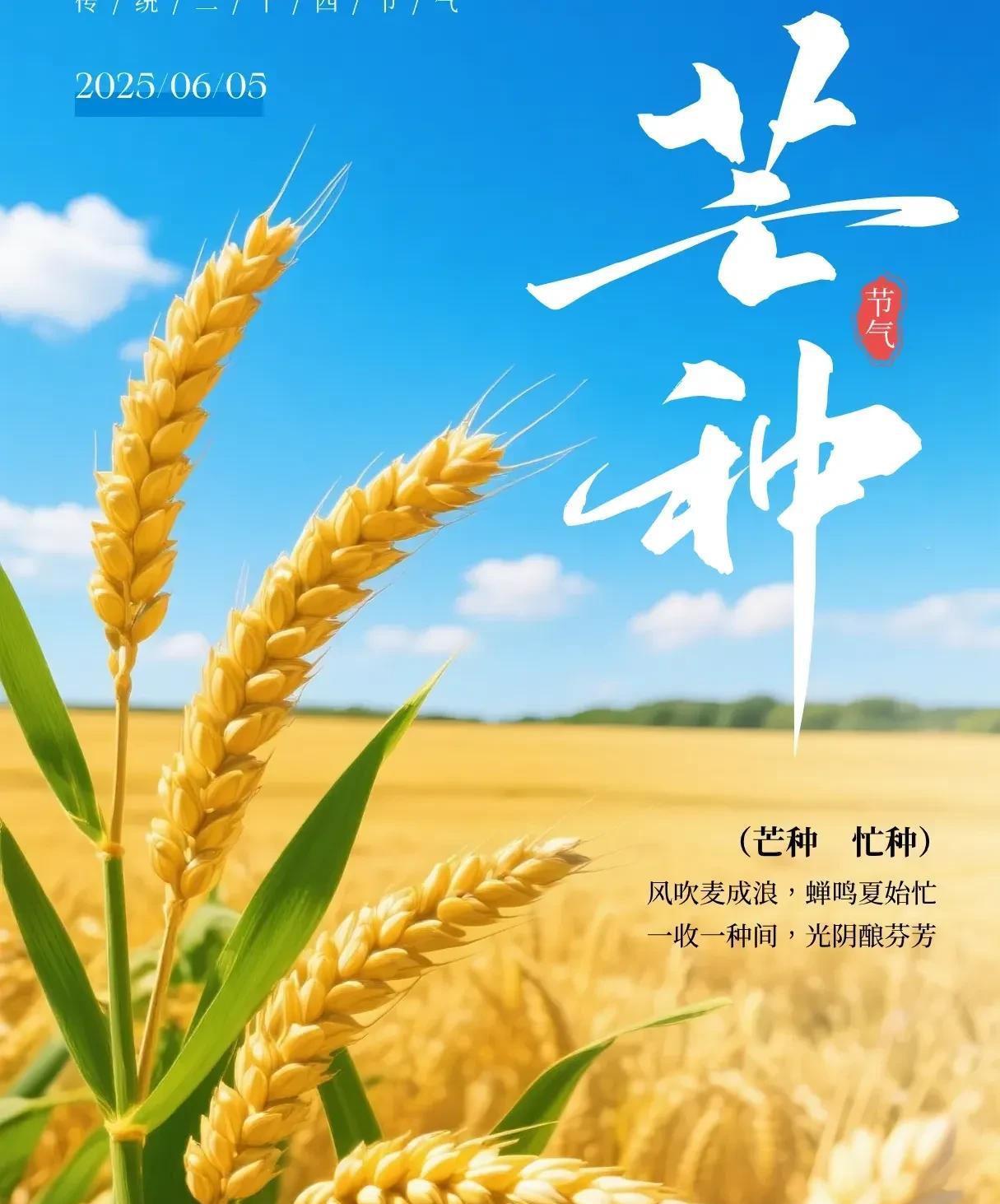田野碧波麦灌浆，
垄上挥锄谷铲蹚。
汗洒沃土青禾壮，
浇出粮丰奔小康。
每年的端