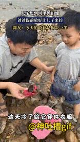 想法很好，损失有点大：儿子想去河边抓鱼捞虾，虽然没这个条件，但爸爸提前去河边创造