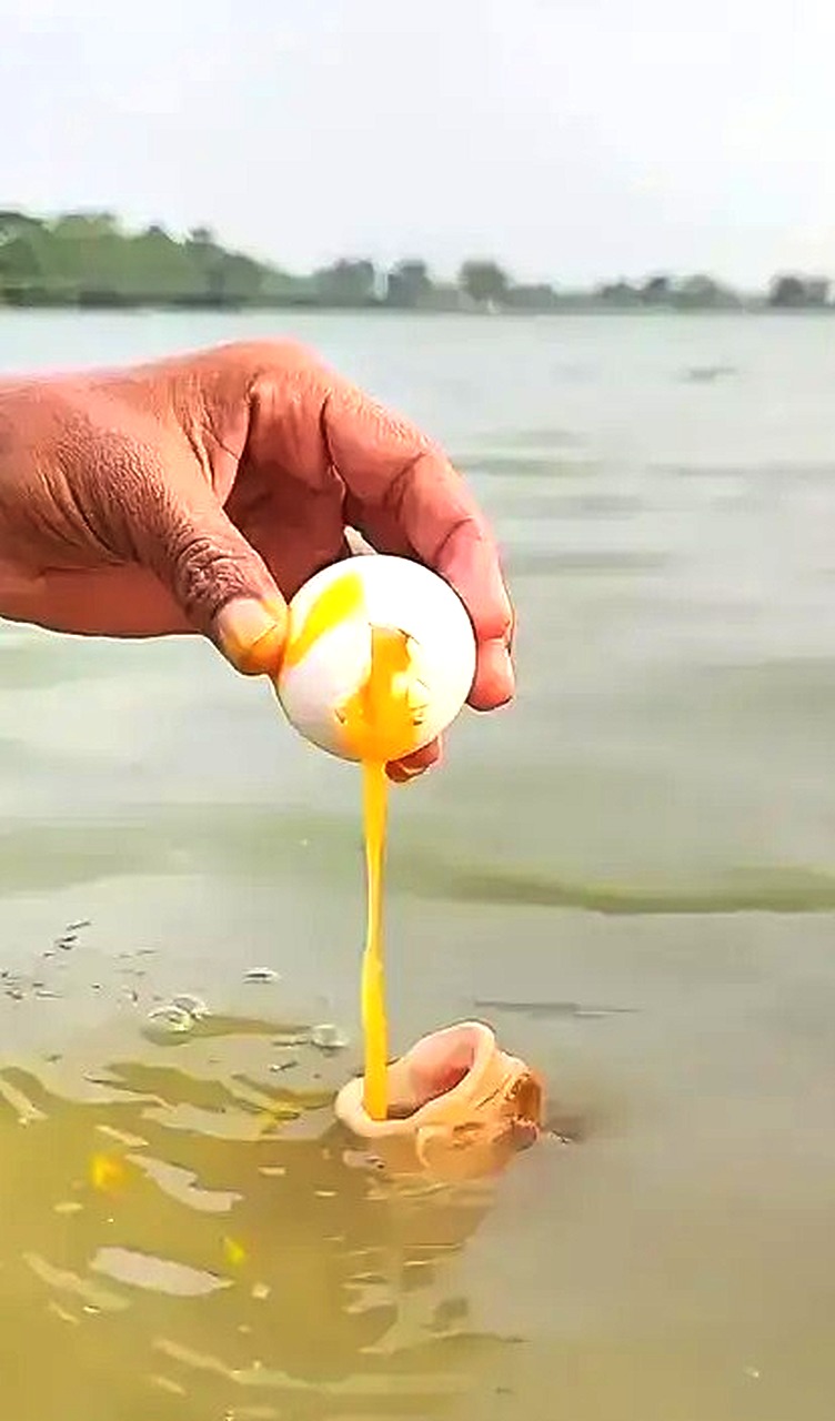 钓鱼佬干沉默了！