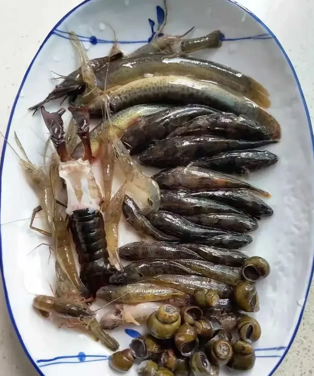 农家乐吃饭，这个菜188，贵不贵？
