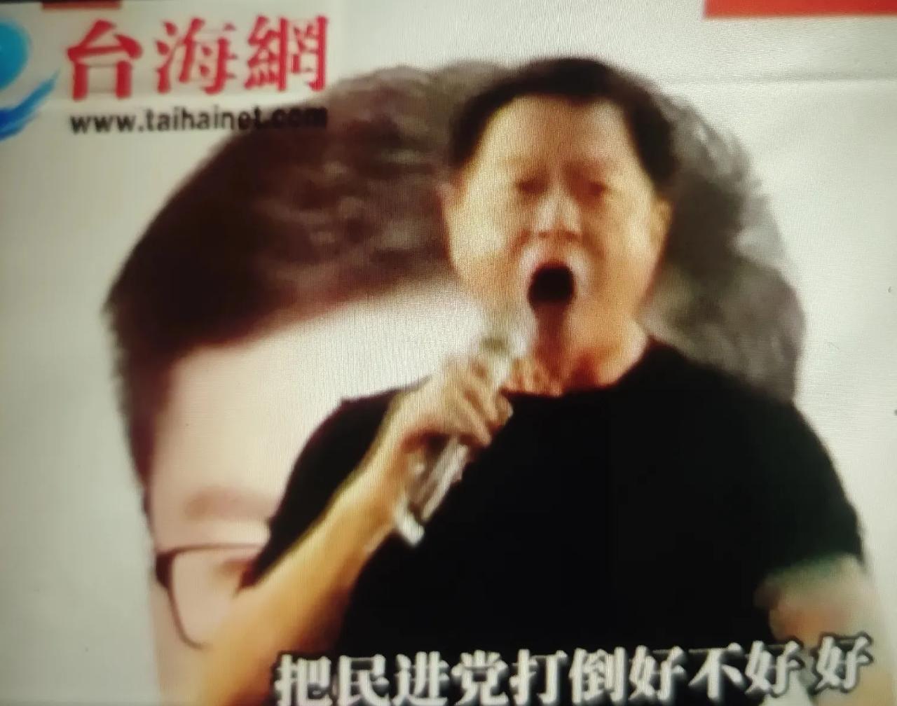 台海网:国民党籍前台北县长周锡玮近日在反罢集会上，痛斥民进党赖清德:赖清德你嚣张