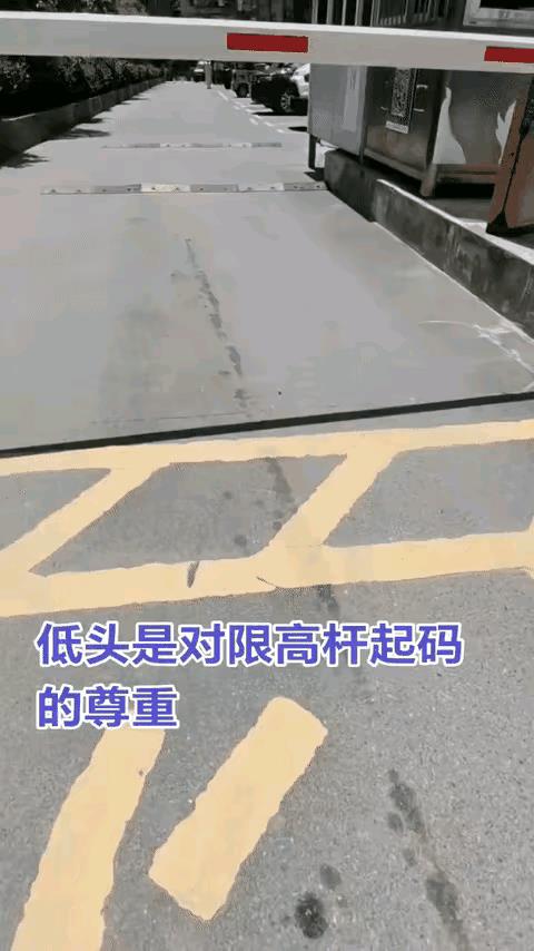 智商和情商都跟天赋有关！