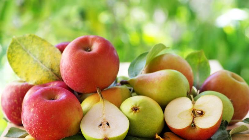 唠唠中医这“表里如一”的绝活儿