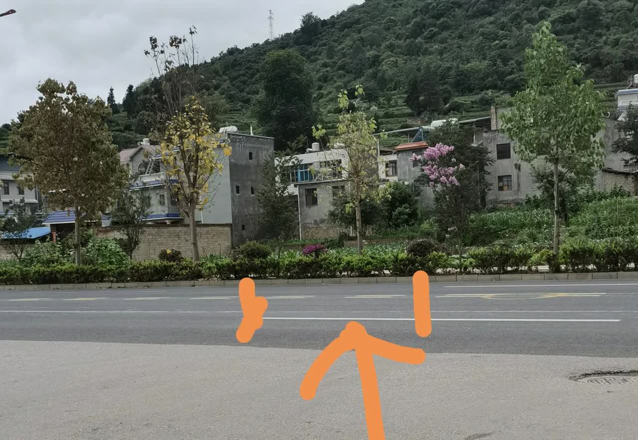 今天虽然科三挂科了，但是考试安全员真的是太好了[赞][赞]
   一直在车下面