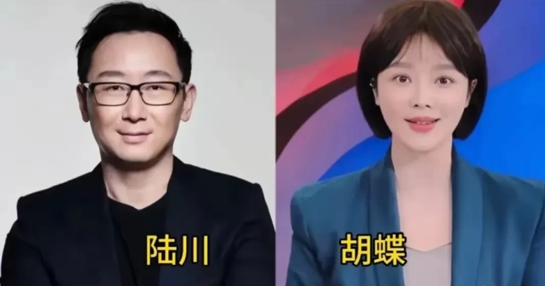 央视主持人夫妻颜值对比，白岩松老婆美如画