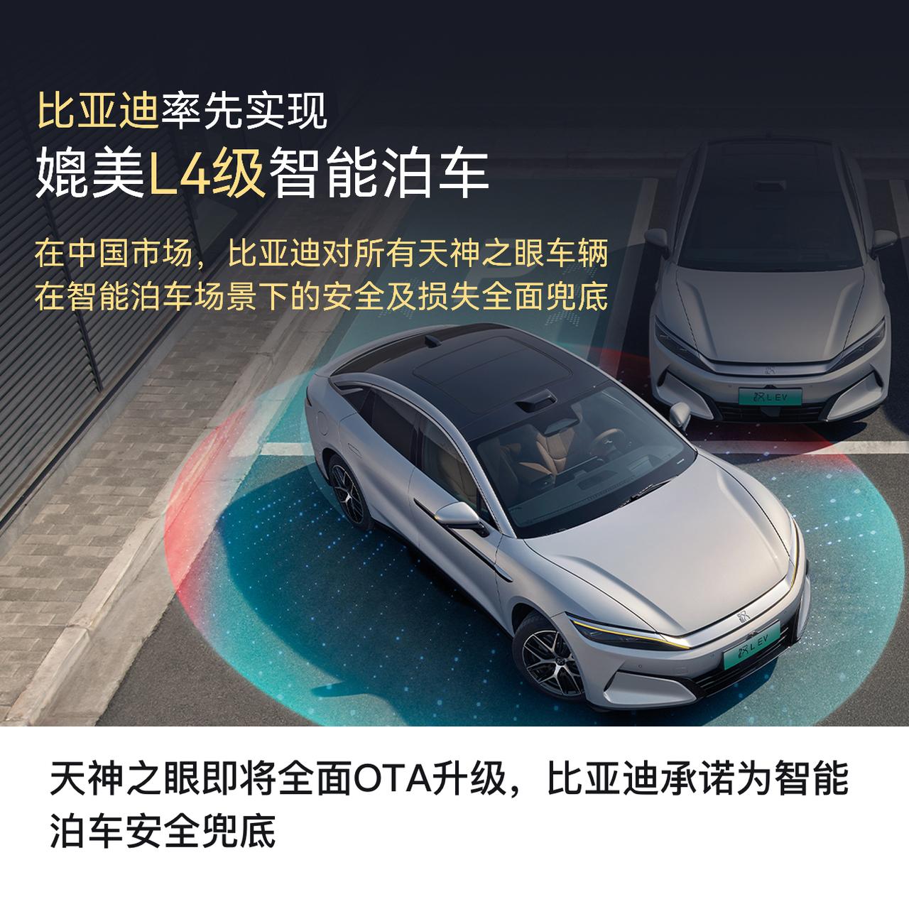 泊车可以智驾，其它还是自驾吧