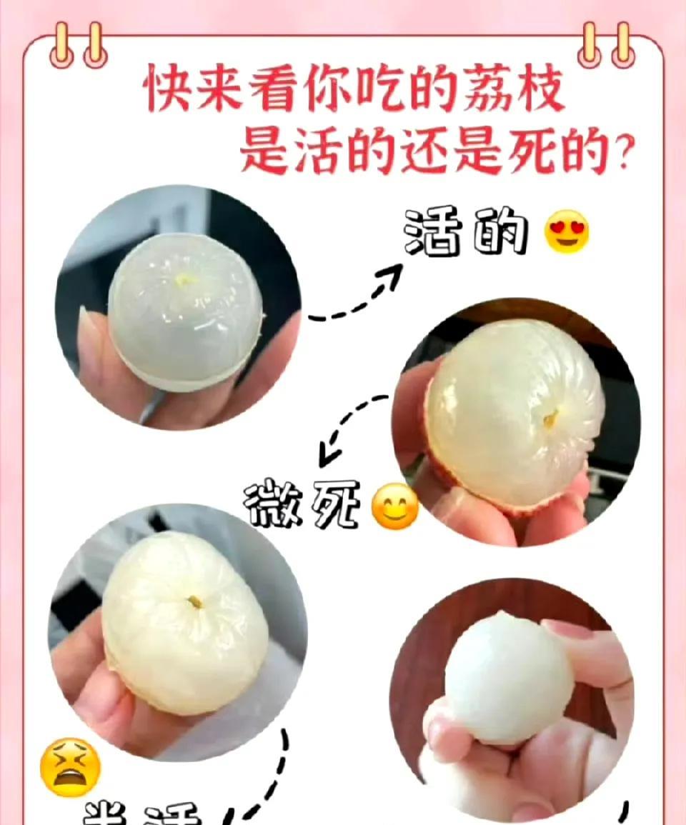 荔枝竟然还有活荔枝和死荔枝。[捂脸]