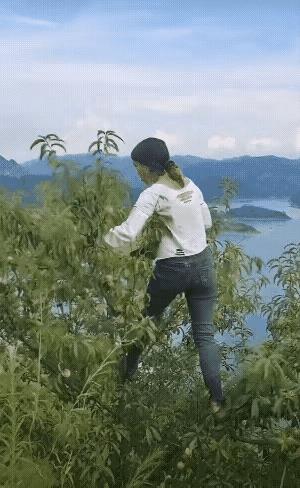 摘桃的代价有点大啊！
