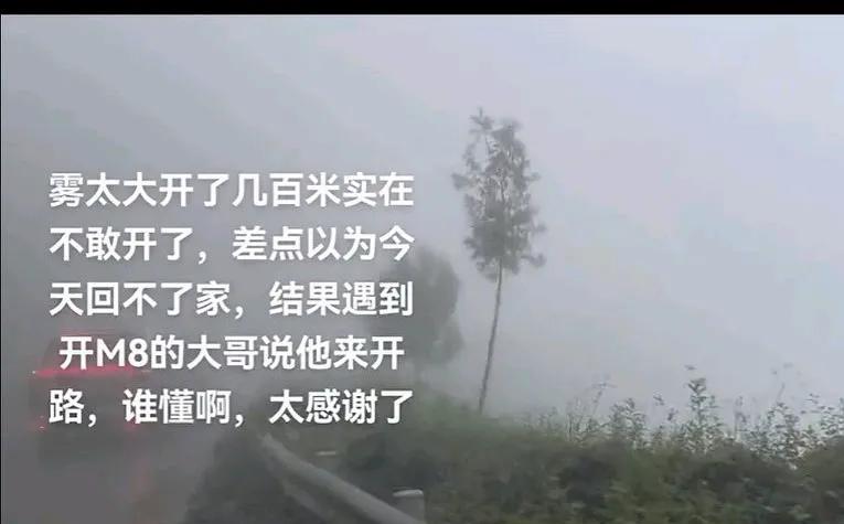 打脸“纯视觉是未来”，
迷雾天问界M8前面带路，
换作纯摄像头你觉得能看多清晰，