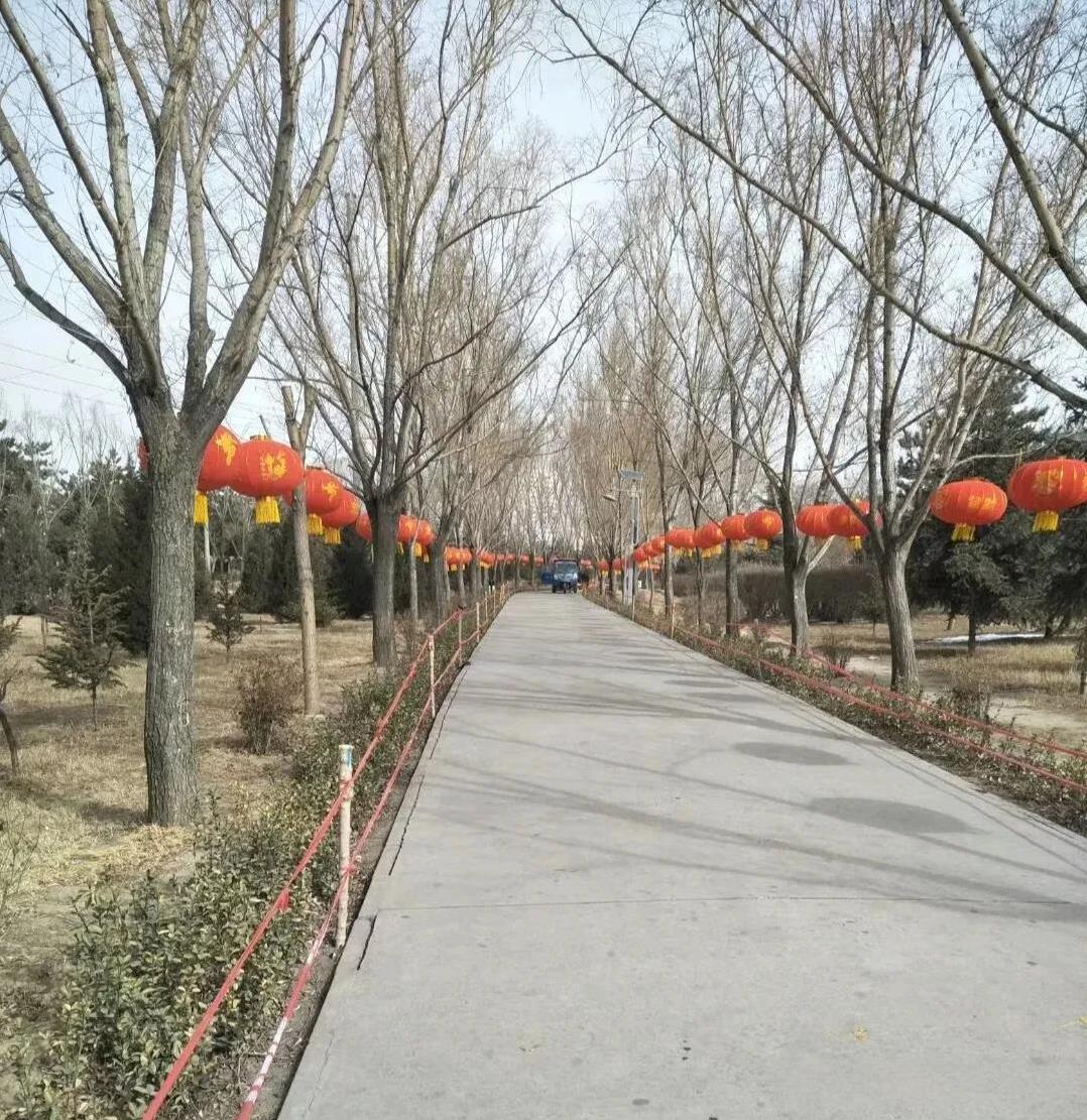 昨晚，下了今年以来真正意义上的第一场雨。
立春以来，大风雾霾天气隔三差五，肆虐庄