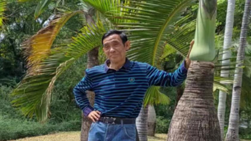 从乡野少年到均衡管理智者的修行之路