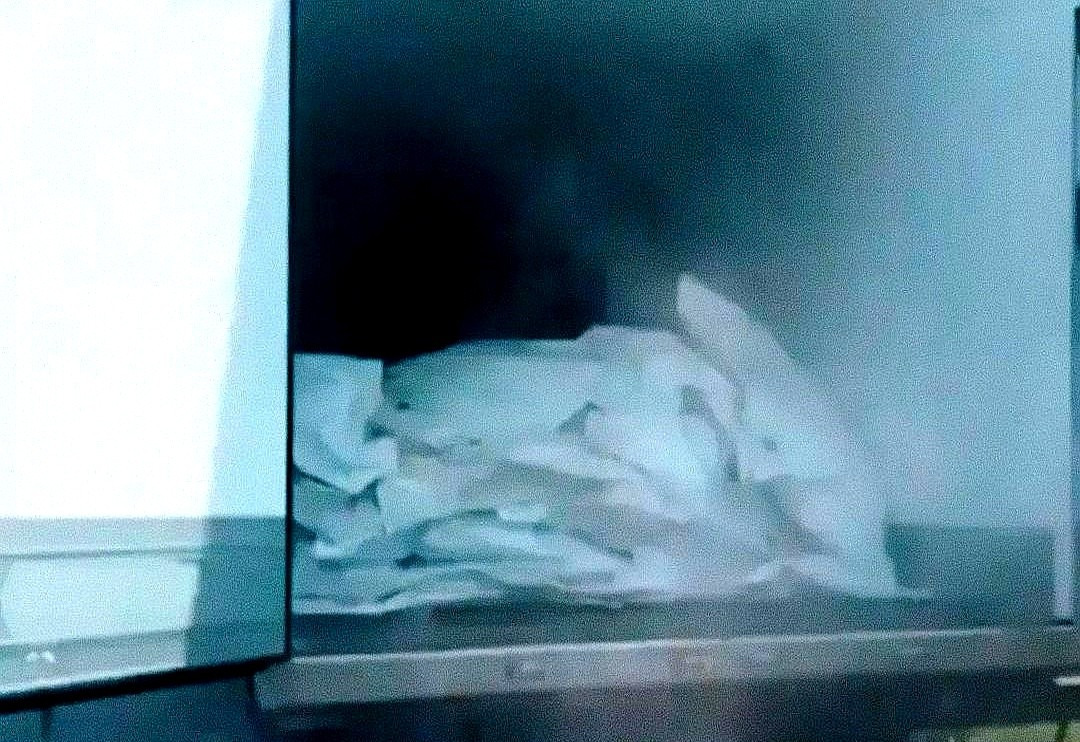 西方国家见死不救，乌克兰士兵白死











---







