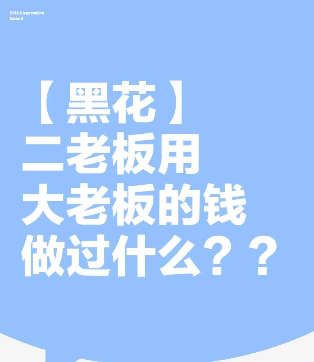 二老板用大老板的钱定制了直升机，收养动物并训练野鸡脖子，还在公司内开了盲人按摩店