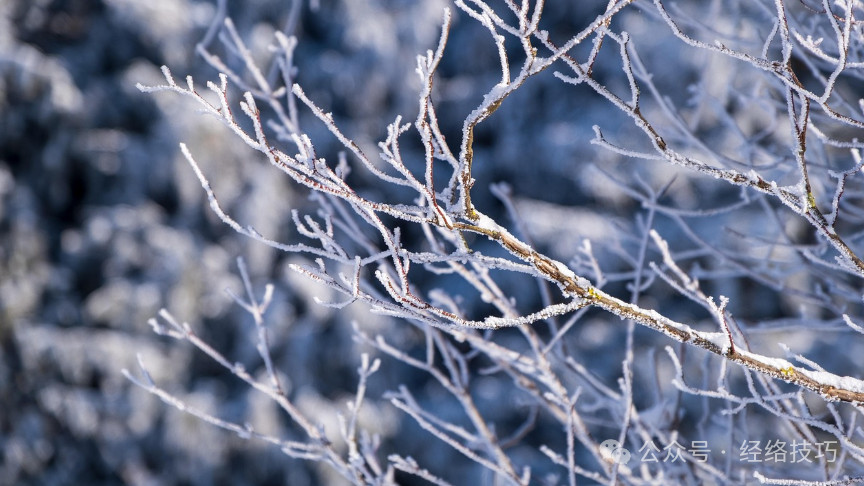 睡前推这里50下，把烦躁推出去，把好睡眠推回来