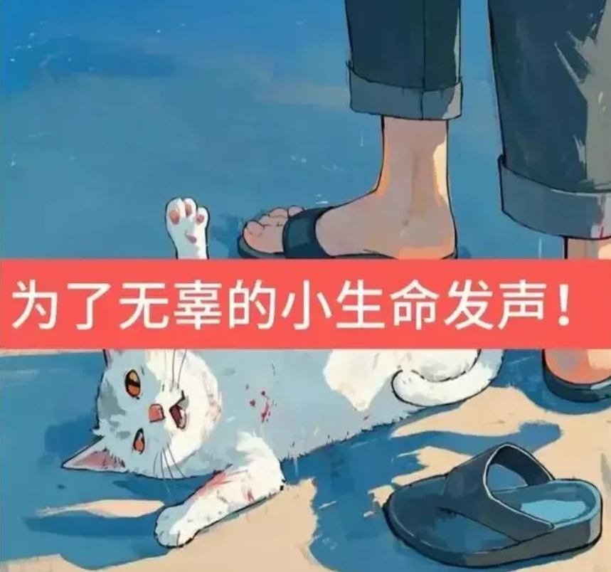 虐猫事件
    当那个猫娃子抱着拖鞋它就以为它会得救的时候，你怎么还能下得去手