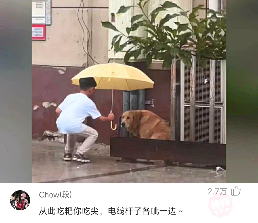 小孩子有可爱有善良，