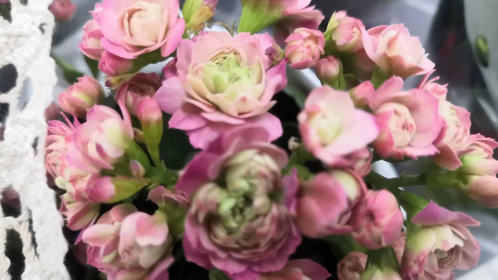 世界因你而美丽，我可不能没有你！祝你青春永驻，活力永存