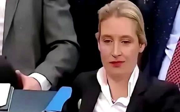 德国魏德尔说：能逼的美国人坐下来谈判，在历史上只发生了两次。第一次是朝鲜半岛战争