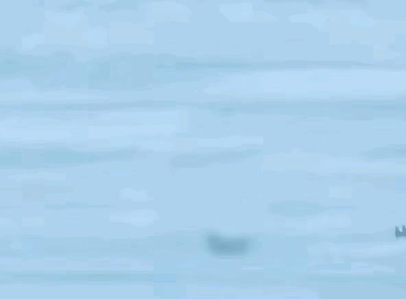 美军其实现在充当了解放军练兵的磨刀石，海空军一直是美军的强项和优势，在实战经验和