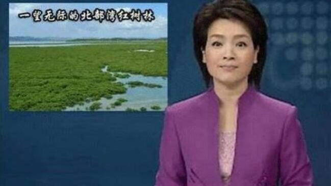 被官媒点名的海鸭蛋，与普通咸鸭蛋有何差别，为啥能冒出红油？