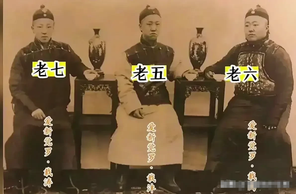 载沣，大清监国摄政王。  
载洵，大清海军总司令。  
载涛，大清陆军总司令。 