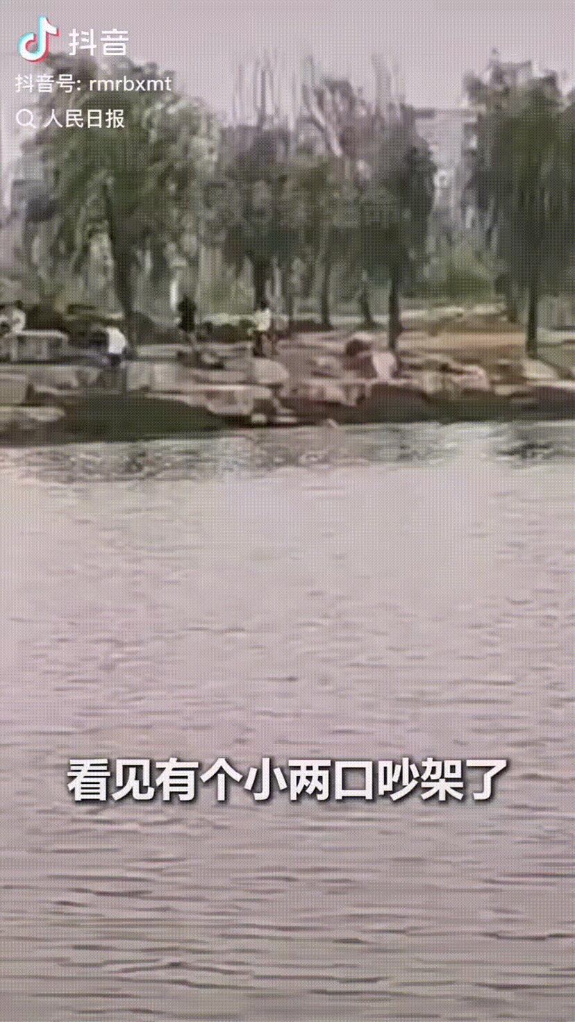 “娘！俺给您磕头了！”已经救了4个人的英雄张伟，在向母亲下跪磕头这一刻，就已经做