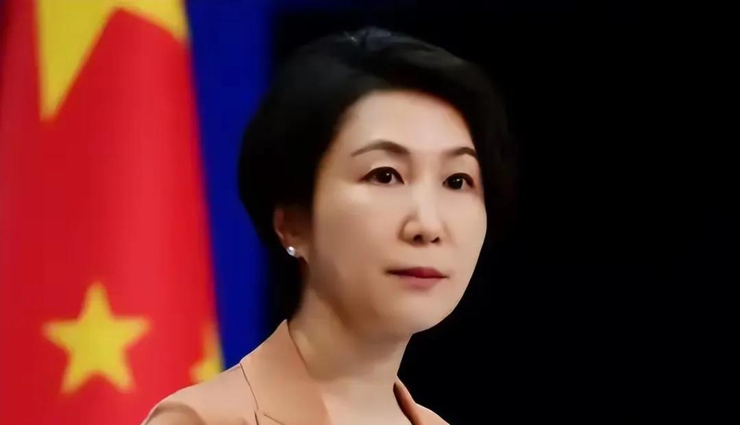 通过7月1日外交部记者会法新社记者的提问才知道，“美国司法部昨天称取缔了一个据称