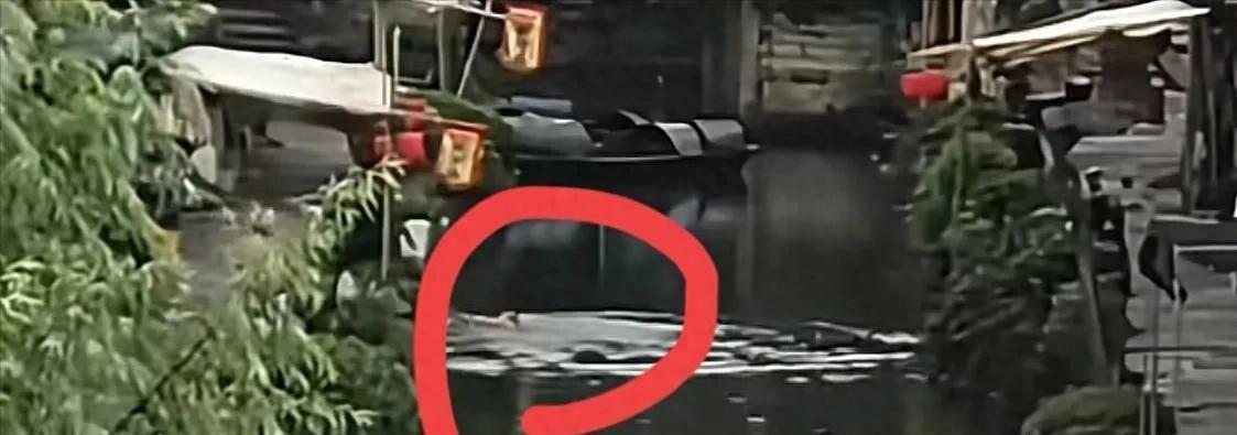 6月23日绍兴一老奶奶不小心落水，一位俄罗斯姑娘看到后狂奔去救人。这位姑娘特别的