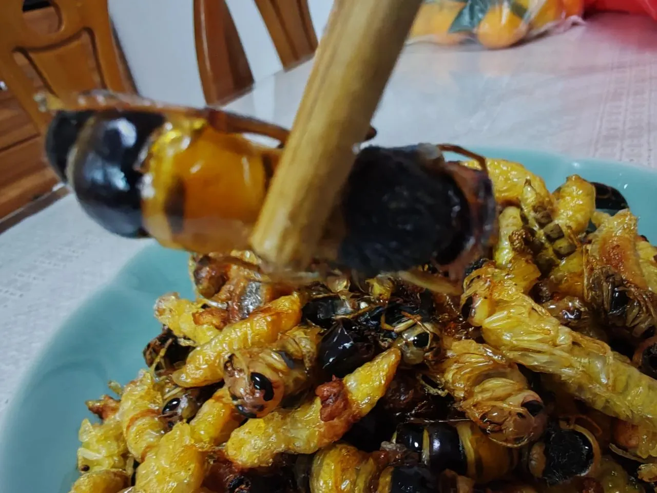 这一桌子美食你敢吃几个？我看着都害怕啊！