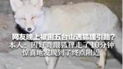 五台山夜困遇狐狸引路：是菩萨显灵，还是巧合？