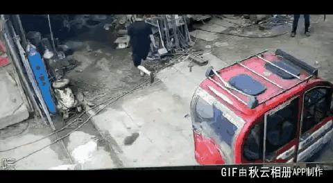 一旦咬人了，狗命就到头了，全然不顾从前的千般宠爱。