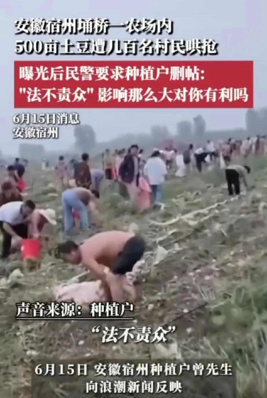 这事闹的有点大了，一句“法不责众”，将“抢土豆”事件推上了热搜，且被大家称之为，