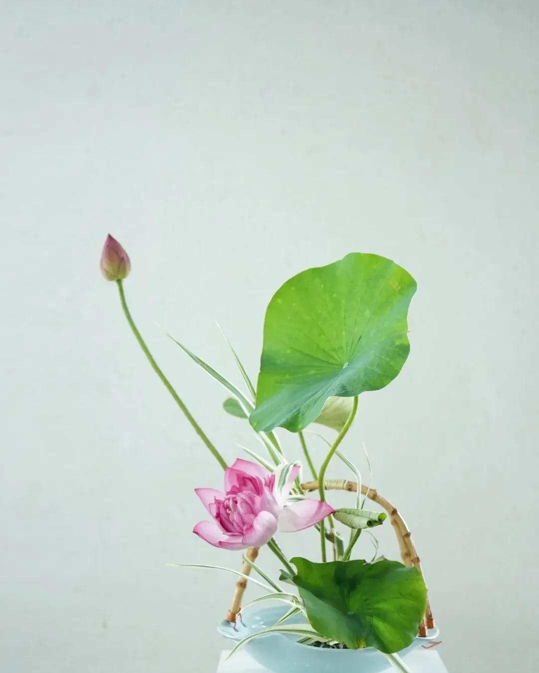 容易读错的生僻词语正确读音及释义：
1、觳觫 (hú sù)：意思是因恐惧而发抖