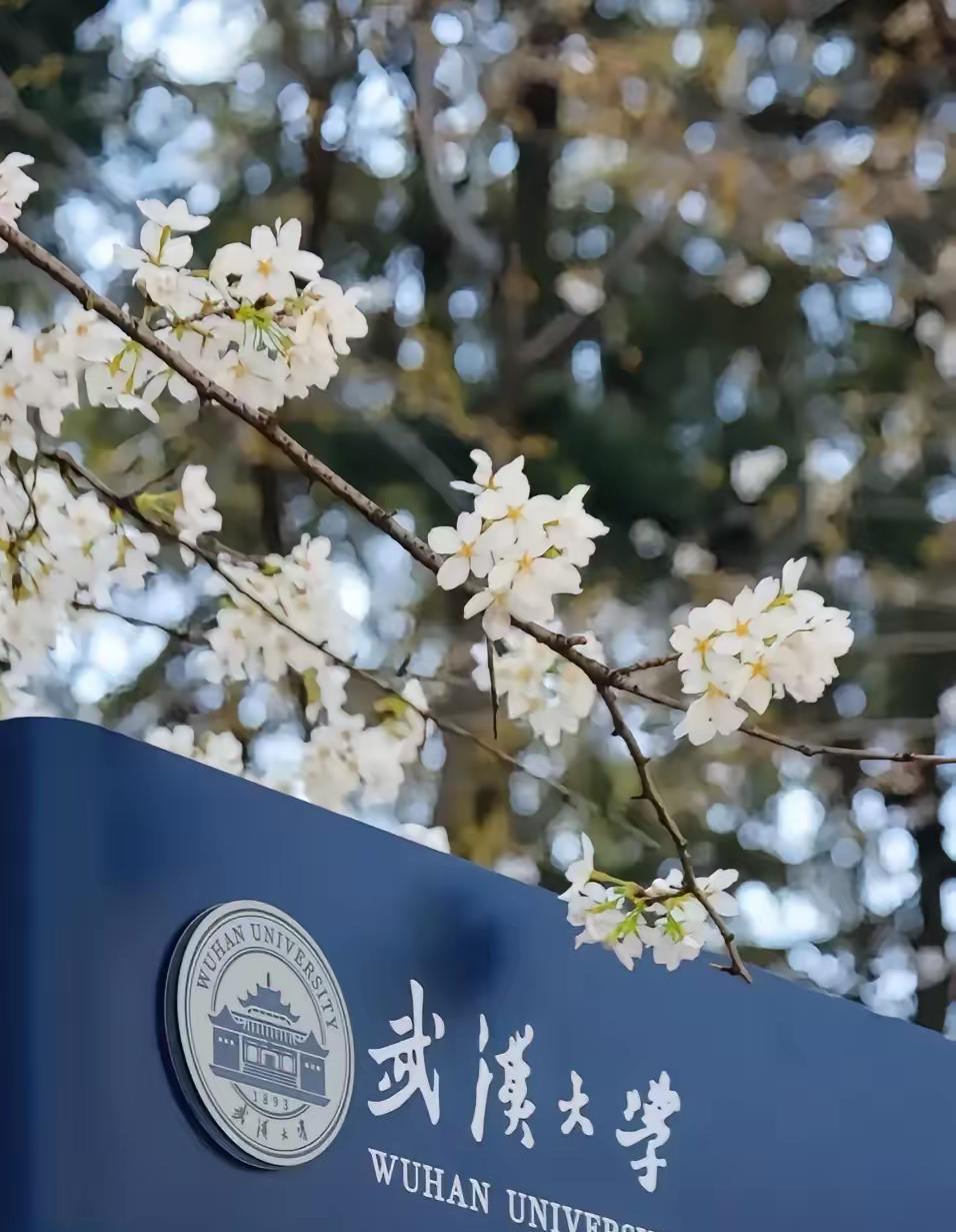 肖同学妈妈起诉武汉大学这事真的太让人感慨了。
她起诉状里那句“我这次起诉不光是为