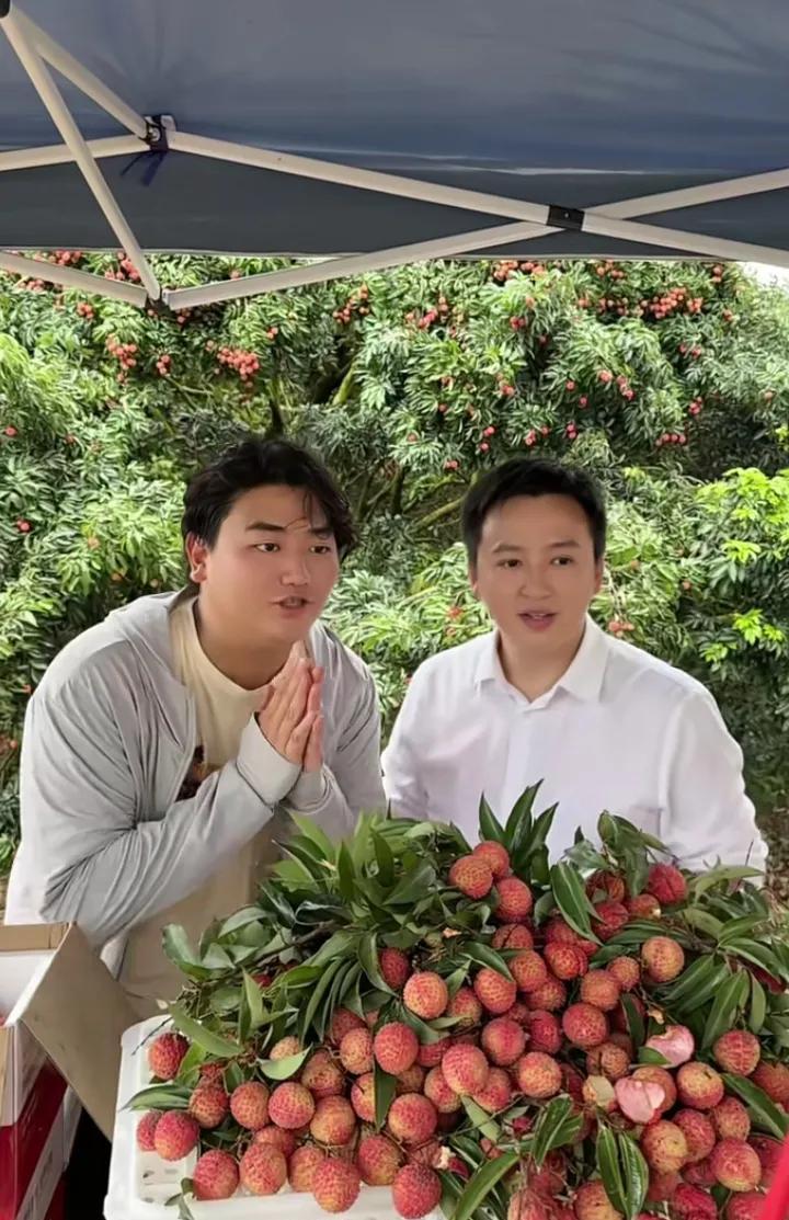 李喜梅老公与全红婵哥哥推广荔枝！



近日，李喜梅的丈夫，人称“大双”的男士，