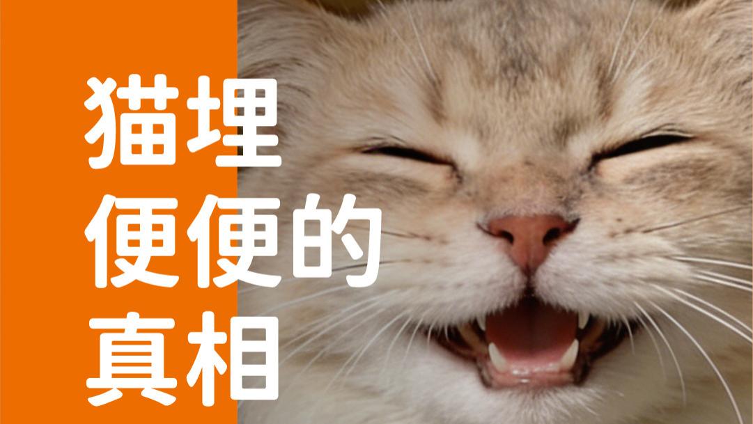 象乡宠物食品 | 猫埋便便的真相