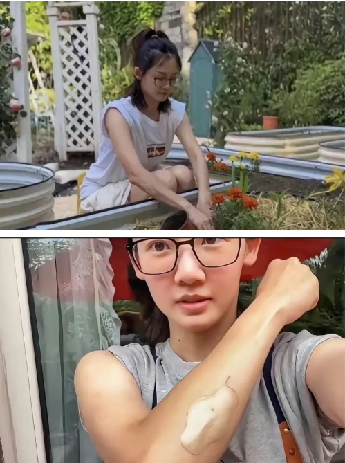 我真的很想说
郑恺要不你离婚吧
我敢说
谁娶苗苗都会幸福，我真的太羡慕郑恺你了，