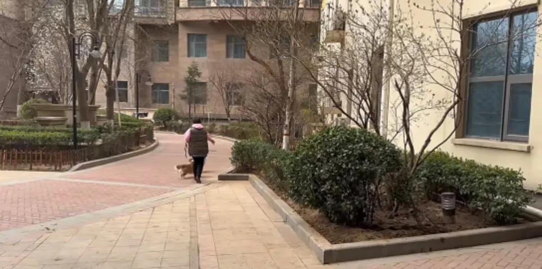 小区里有那么几个养狗的人，一大早5点多就开始在小区里遛狗，有的还不牵绳，这几只狗