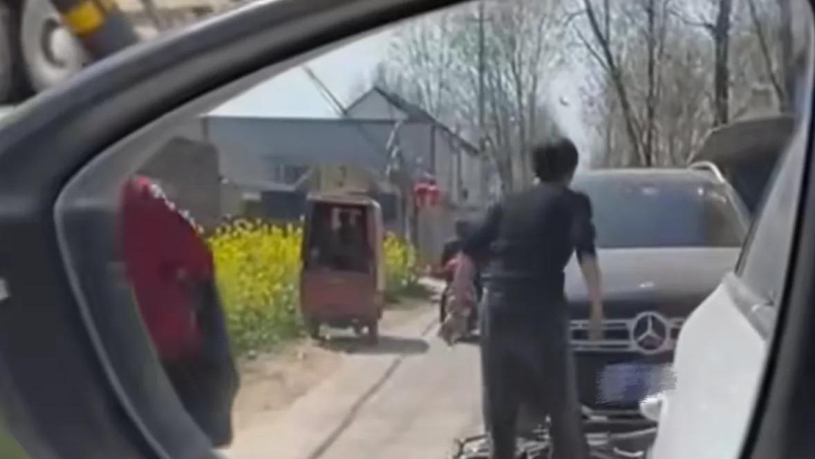 “你压我蒜苗，我砸你奔驰！”大妈怒砸豪车代价高