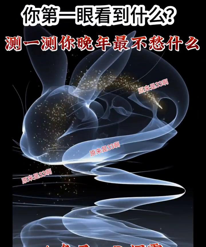 你第一眼看到什么？测一测你晚年最不愁什么？A.兔子；B.烟雾。