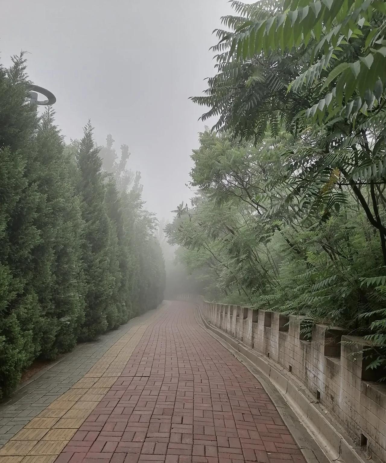 2025年的三伏天终于结束了。
今天是出伏第一天，唐山迎来了一场大雨，可以说是瓢