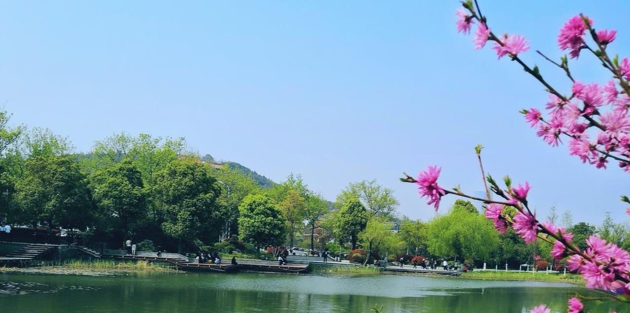 在单位人到中年会自动明白一点；
不要和周围人谈及尊重或者风骨；
周围的人只会用异