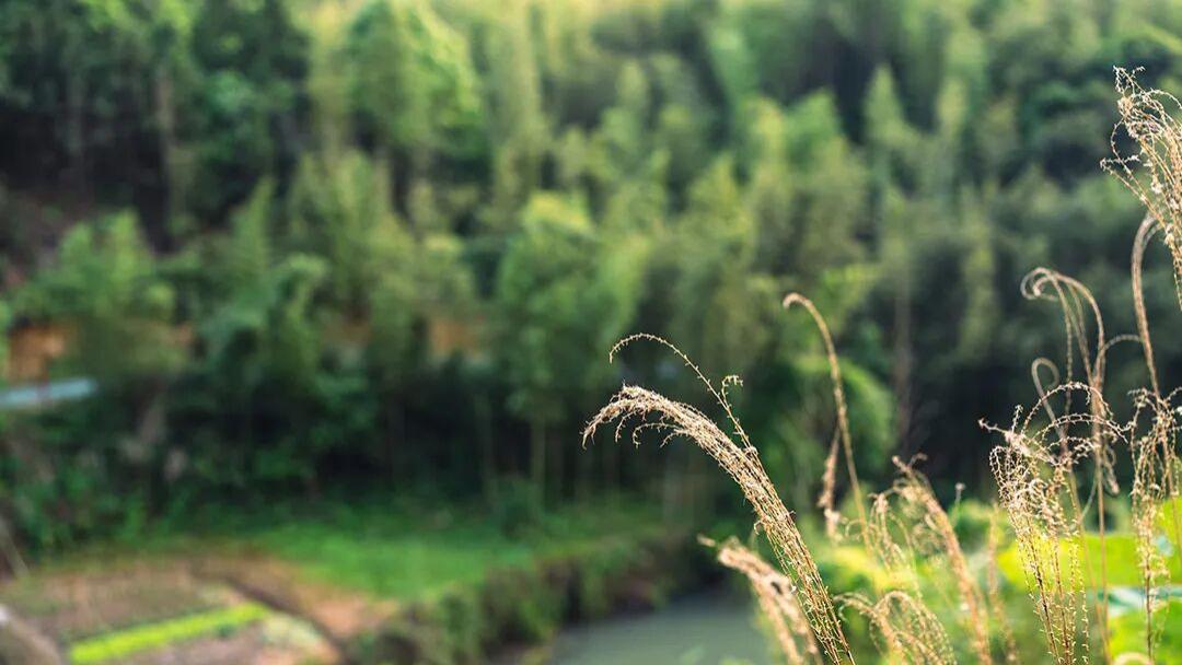 论文题目的字数一般控制在多少字以内？一篇讲清期刊常见要求