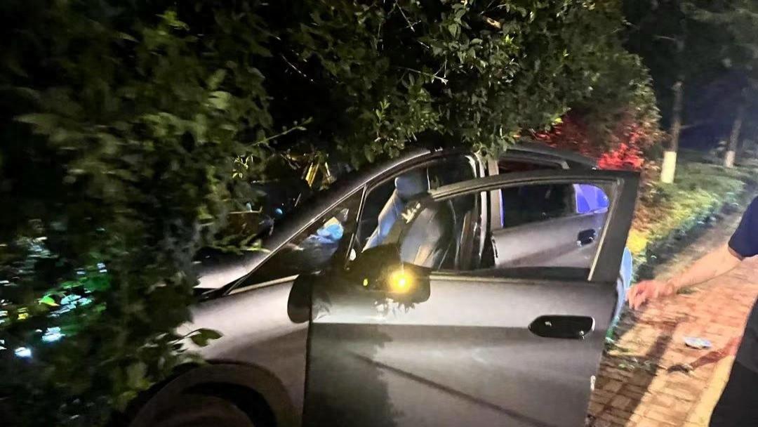 网约车重大事故引出司机案底 网约车平台认证缘何如此大意