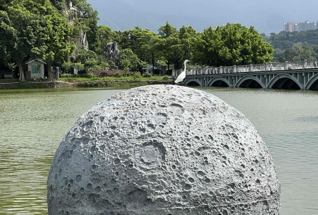 几个年纪大的人在忆苦思甜。
说他们小时候吃不饱，也没什么吃的，那时候生活很苦。